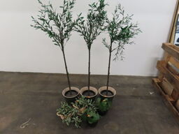 Parti kunstige blomster
