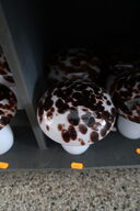 2 stk. bordlamper MUSHROOM