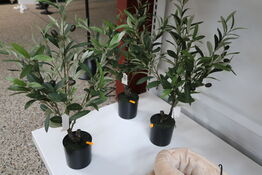 3 stk. kunstige planter i krukke