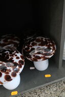 2 stk. bordlamper MUSHROOM