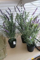 3 stk. kunstige planter i krukke
