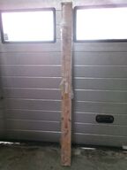 Karmsæt, tungbeslået fyr, hvid