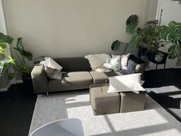 Sofa lounge m. rumopdeler m. Planter og tæppe