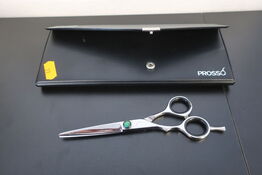 Frisørsaks PURENAN DCO1555SL