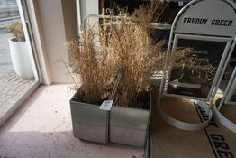 2 stk. plantekasser på hjul  