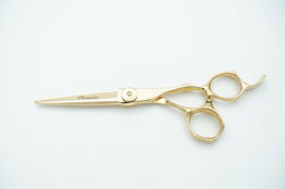 Frisørsaks PS-NIELSEN HAIR CARE A-14G 5.5