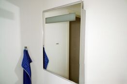 Spejlskab m/hylde og lys 50x70cm spejl