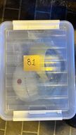 Face shield and safety helmet box