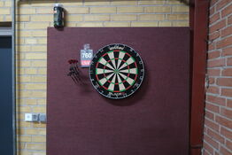 Winmay dartskive med 3 sæt pile 