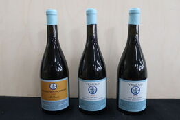 3 fl. Rødvin VIGNOLO Vinding Montecarrubo 2020 