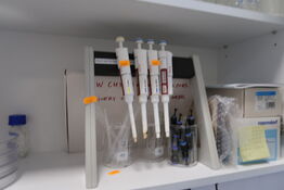 Stativ med 4 stk. pipetter THERMO SCIENTIFIC