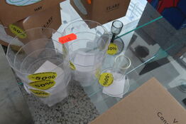 Diverse glas HAY