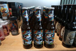 24 stk. Brooklyn Brewery IPA