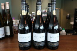 8 flasker Rødvin Famille Castan Pinot Noir 2024 