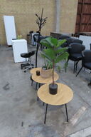 3 stk borde med planter og en stumtjener