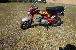 Honda Dax ST50 (MOMSFRI)