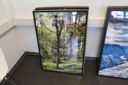 6 stk. plakater