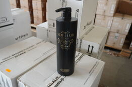 48 stk. ARTEGO NEW HAIR SYSTEM Pre-shampoo 1000ml.