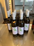 10 flasker hvidvin TREBBIANO D´ABRUZZO 2021