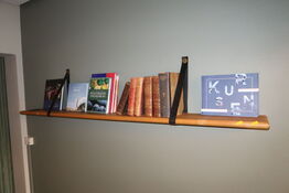 Væghylde med div. Bøger