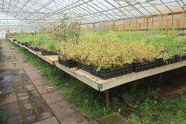 22 stk. Vandingsborde til højre i drivhuset