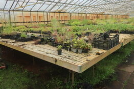 22 stk. Vandingsborde til venstre i drivhuset