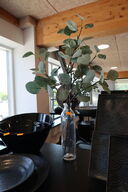 Karaffel samt kunstige planter