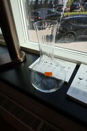 Decanter RIEDEL Performance