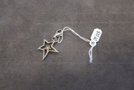 Charms Superstar Silver Charm