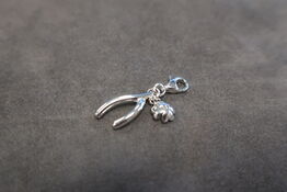 Charms Wishbone Silver Charm