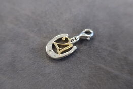 Charms 21 Today Silver Charm