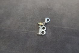 Charms Coming of Age Silver Charm