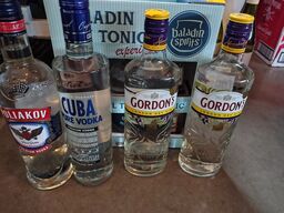 5 fl. Spiritus Gin og vodka