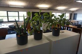 3 stk. planter