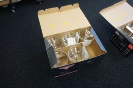 5 stk. champagne/cocktail glas 