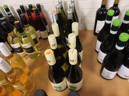 6 flasker pecorino igp terre di chieti ARIVI