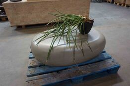 Potteplante på bord der ligner en sten (MOMSFRI) 