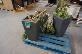 3 krukker med blomster (MOMSFRI) 