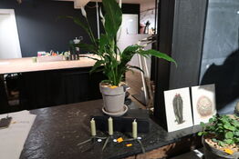 Plante i krukke samt 3 stk. stearinlys