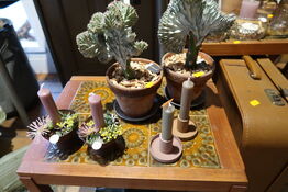 Div. Dekorationer med stearinlys samt 2 stk. planter i krukke