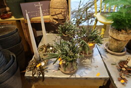 3 stk. planter i krukke samt 2 stk. dekorationer