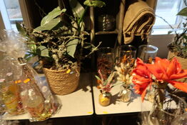 Plante i krukke samt div. Planter i vaser