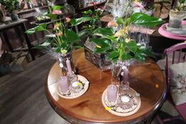 2 stk. planter i krukke samt 2 stk. dekorationer