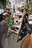 Stige uden indhold samt div. Bøger