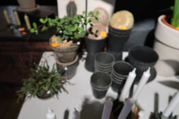 Div. Vaser, krukker m.m.