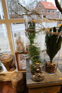 2 stk. planter i vaser