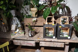 3 stk. gavekurve samt plante i vase