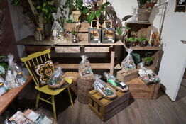 Bord, trækasser, træstubbe uden indhold