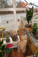 Div. Træstubbe, trækasse, vaser, krukker