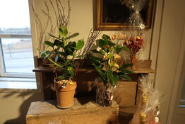 3 stk. blomster i krukke/vase